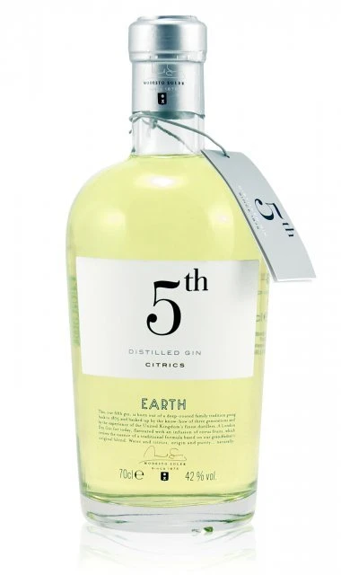 5Th Gin Earth
