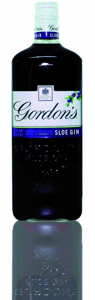 Gordon's Sloe Gin